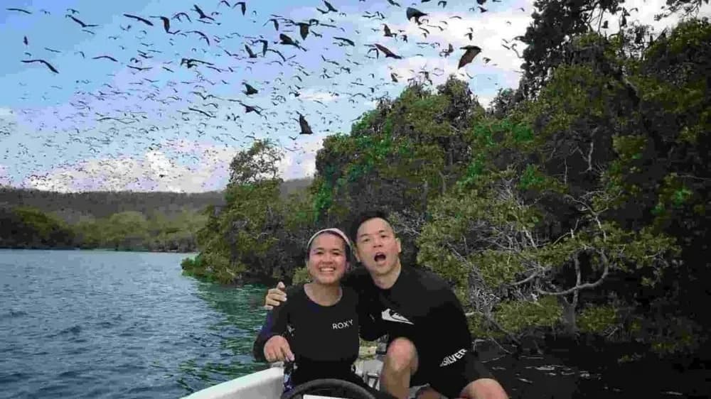 Kalong Island - Highlights