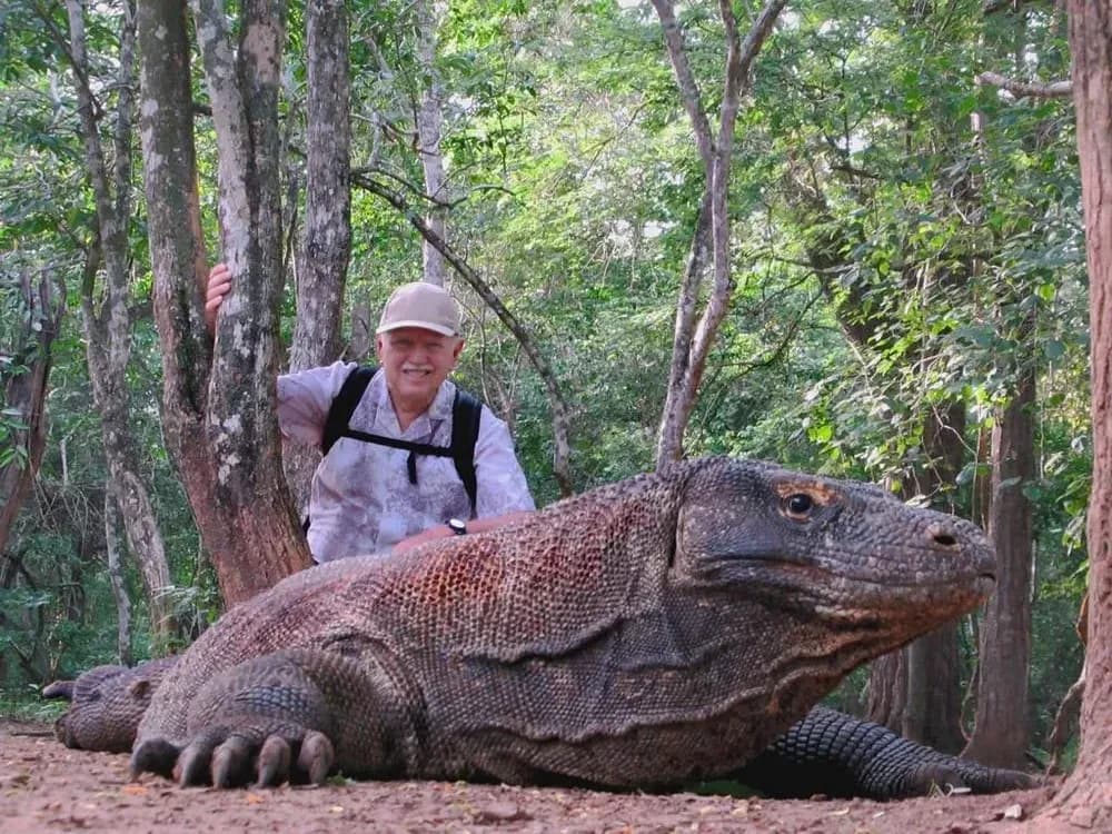 Komodo Island - Best Experiences