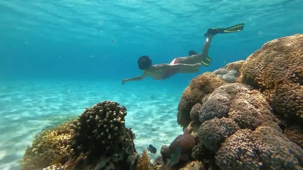 Manjarite Beach - Best Time to Visit