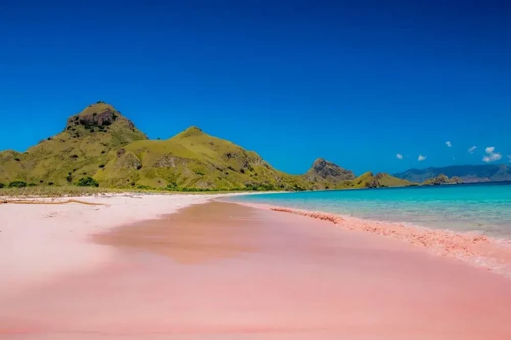 Pink Beach - Best Time to Visit