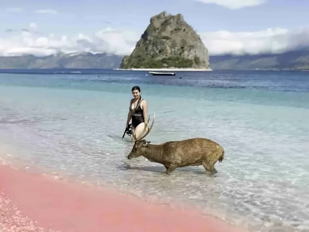 Pink Beach - Getting There