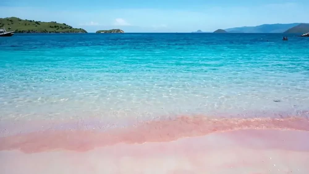 Pink Beach - Background