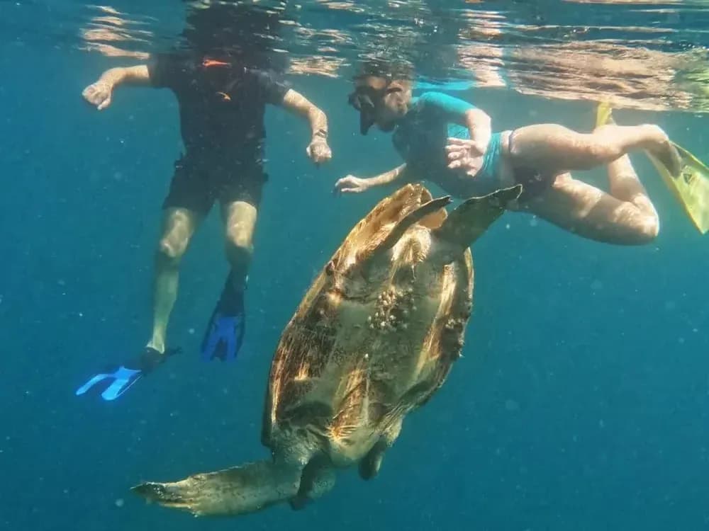 Sebayur Island - Best Time to Visit