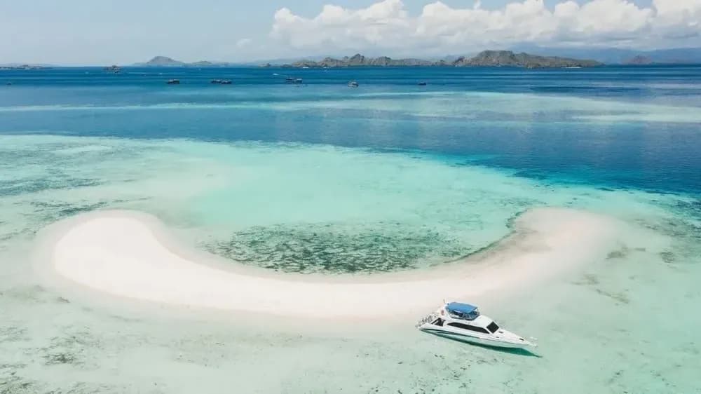 Taka Makasar - Background