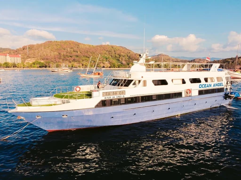 Ocean Angel Liveaboard