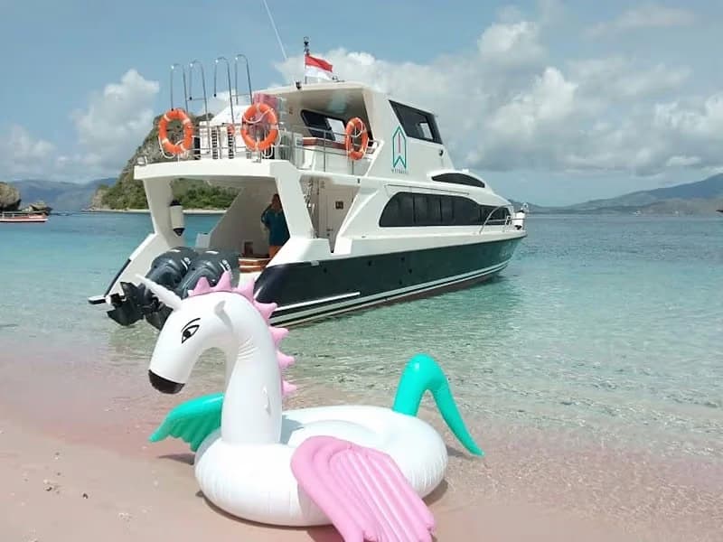  Ocean Quin Speed Boat