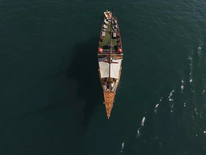 Day Cruise Collection