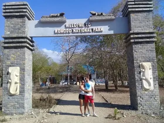 Best Time to Visit Komodo National Park: Weather, Diving & Crowds