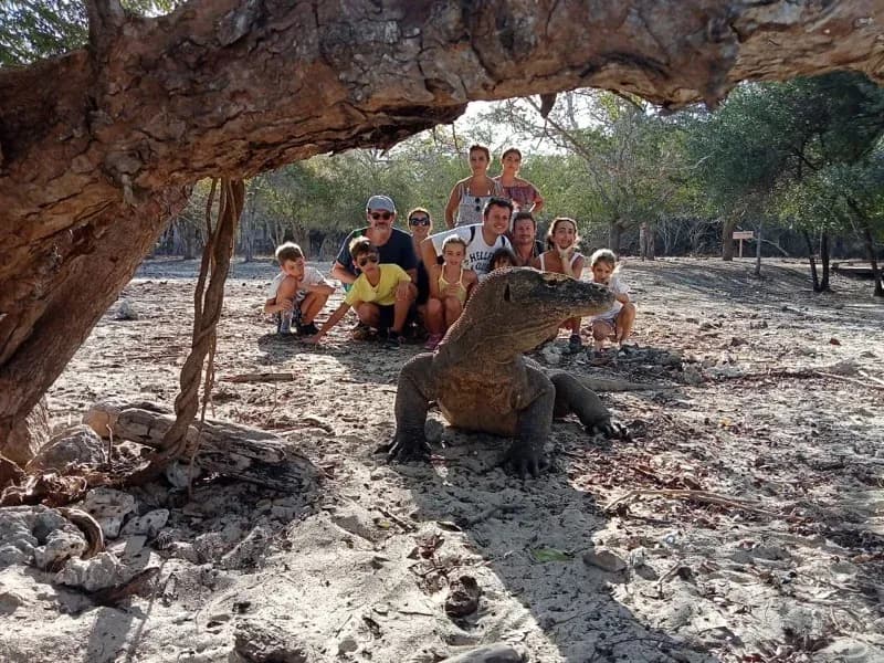 Komodo vs Raja Ampat: Mana yang Harus Anda Pilih?