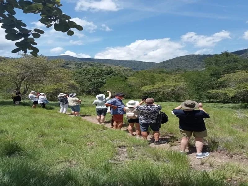 Lombok to Komodo Cruise: Multi-Day Sailing Itinerary Guide