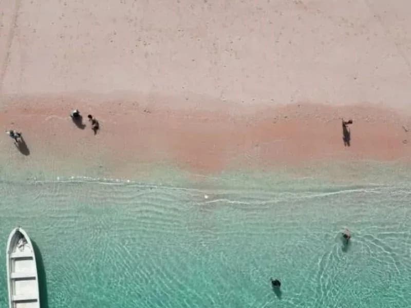 Snorkeling com Arraias-Manta em Komodo: Guia Completo do Manta Point