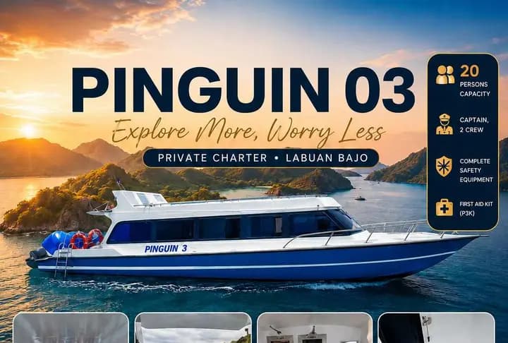 Pinguin 03 private speedboat charter Labuan Bajo