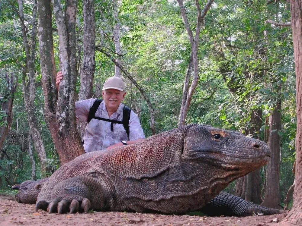 Komodo Island Experience - Luxury Phinisi Komodo Charter 2026