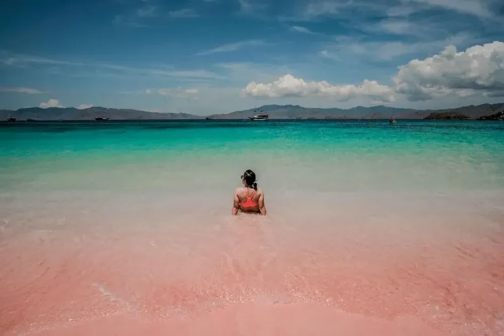 Pink Beach - Luxury Phinisi Komodo Charter 2026