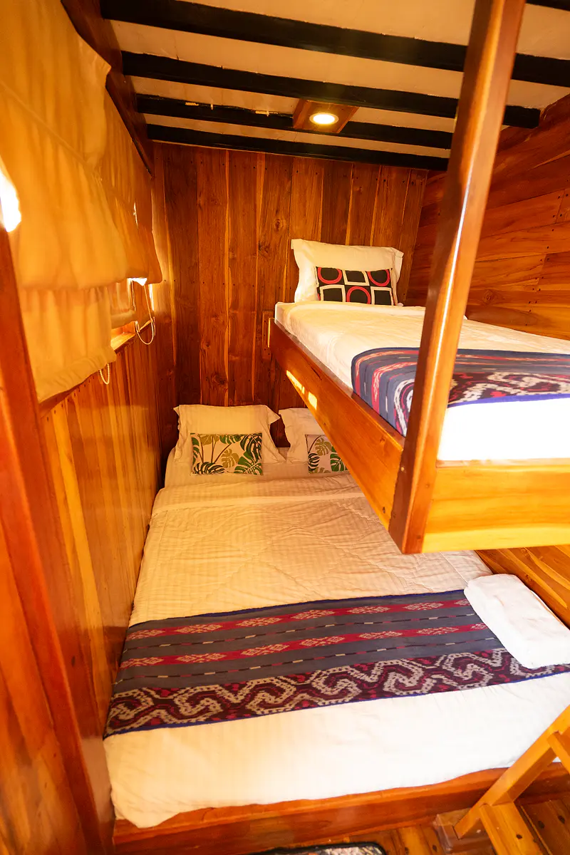 Deluxe Horizon Triple - Image 1