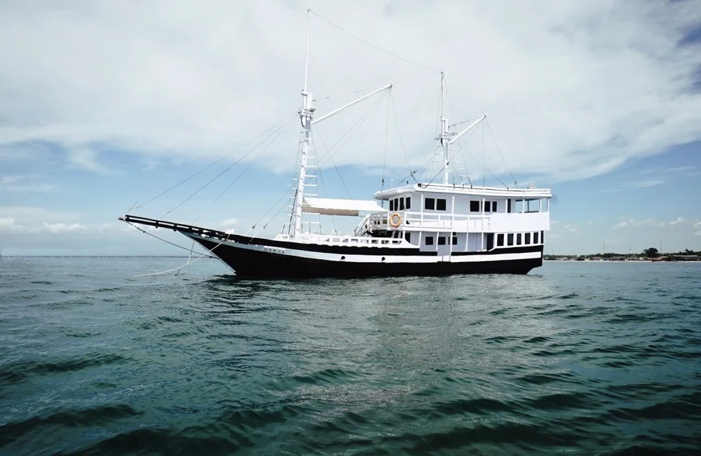 Derya Liveaboard - Luxury Phinisi Komodo Charter 2026