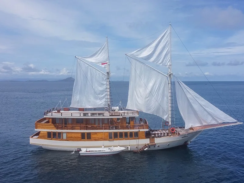 Elora Phinisi - Luxury Phinisi Komodo Charter 2026
