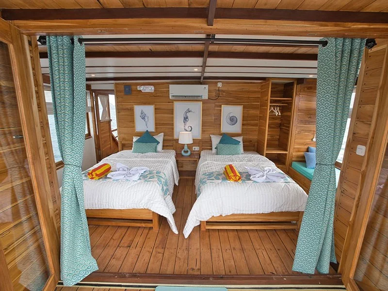 Pinta 270 Horizon Master - Image 1