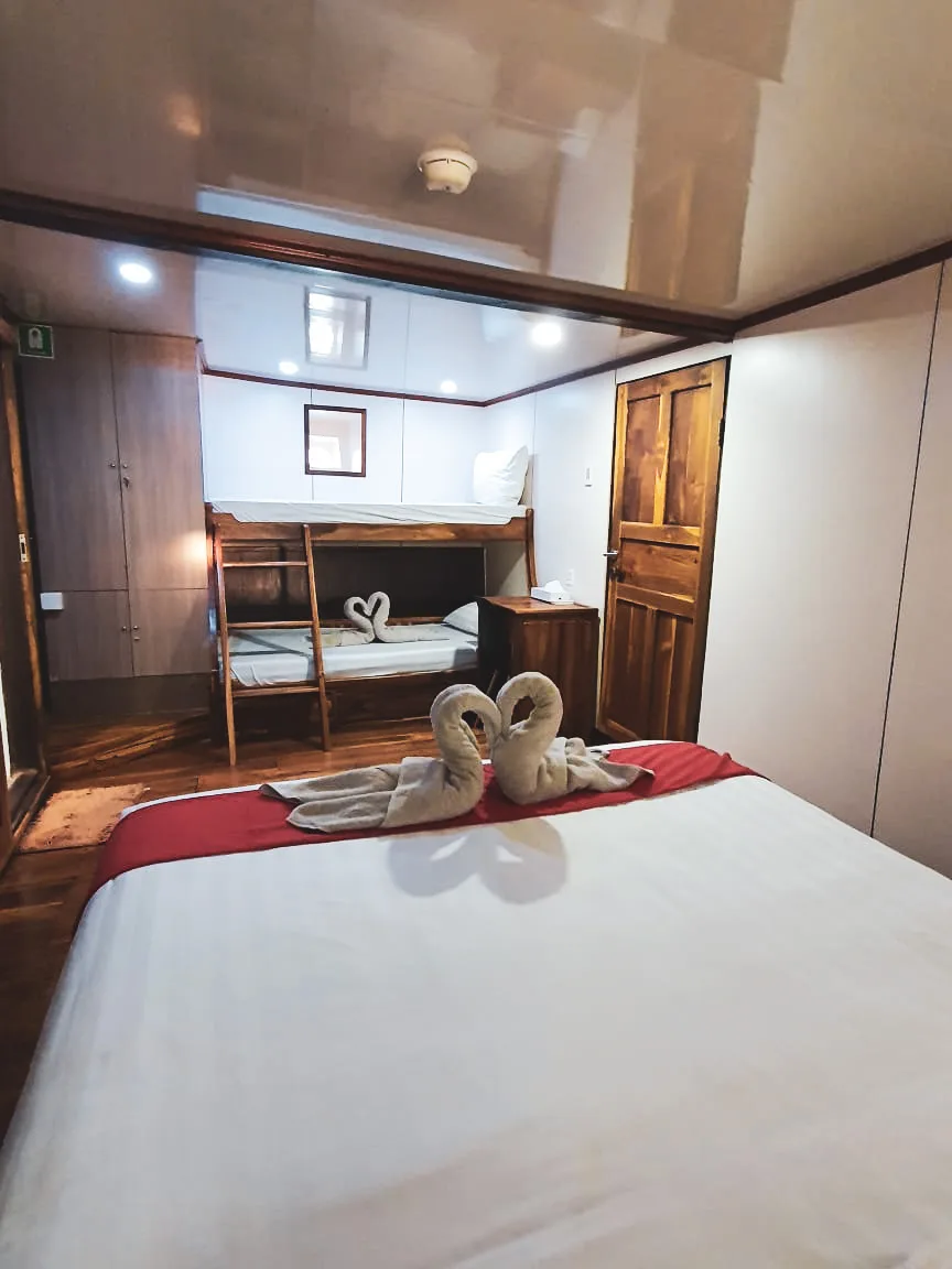 Family Cabin - Image 1