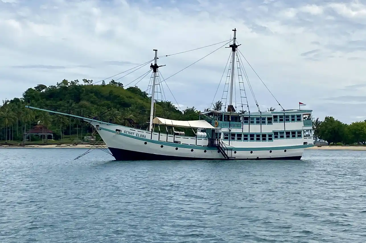 Sehat Elona - Luxury Phinisi Komodo Charter 2026