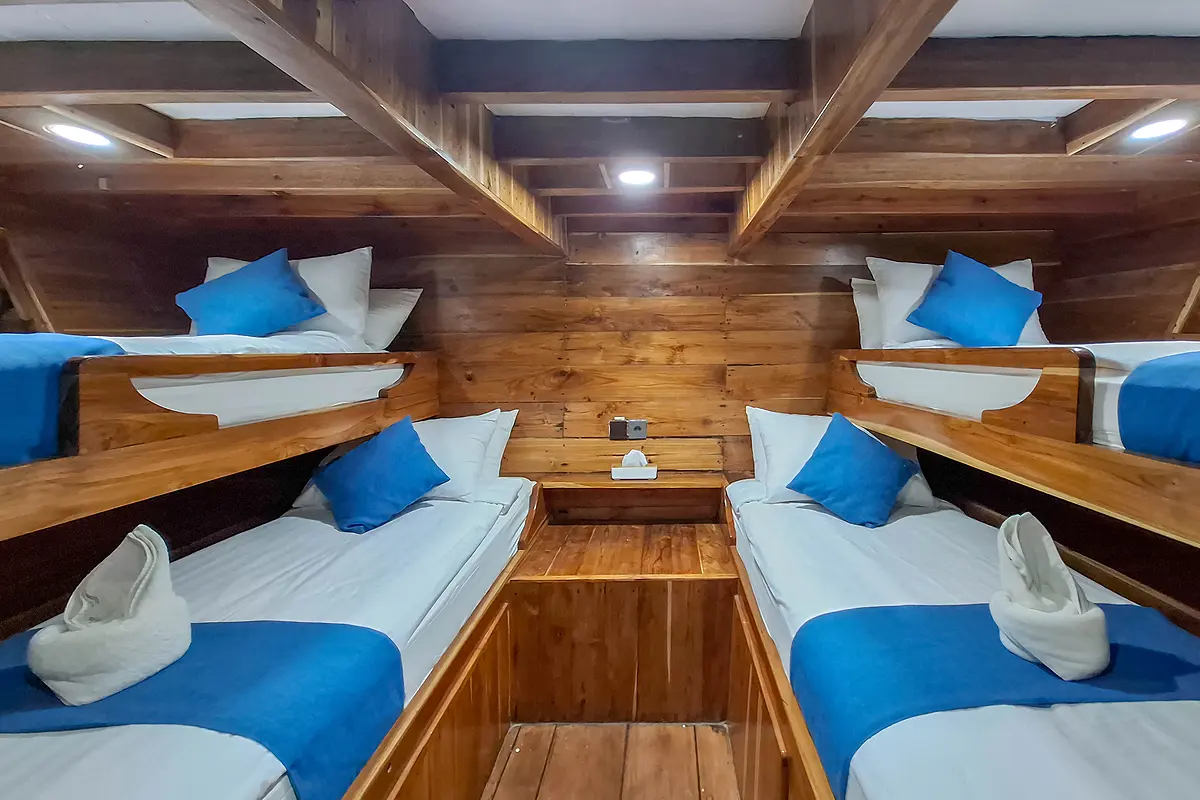 Merida Family Shared - Image 1