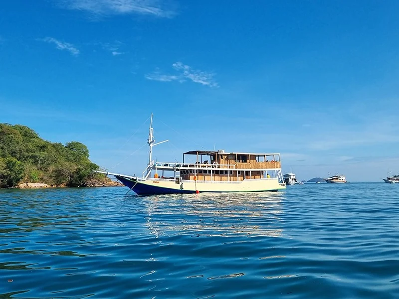 Staelan Boat - Luxury Phinisi Komodo Charter 2026