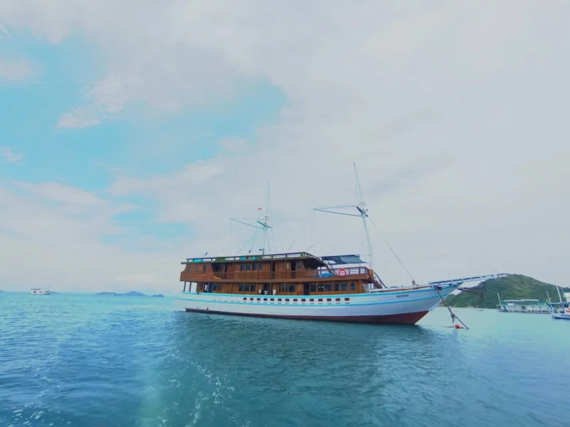 Sultan — Gallery View 2, Komodo