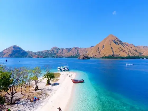 Komodo boat charter experience 2