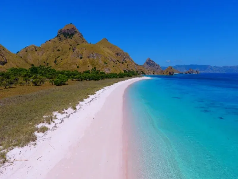 Komodo boat charter experience 2