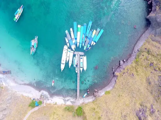 Komodo boat charter experience 3