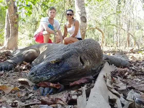 Komodo boat charter experience 5