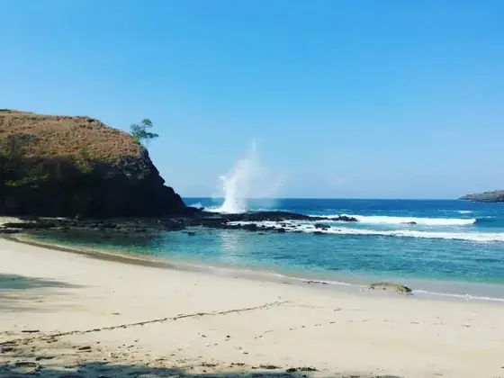 Komodo boat charter experience 6