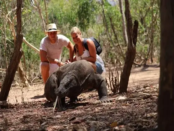 Komodo boat charter experience 6